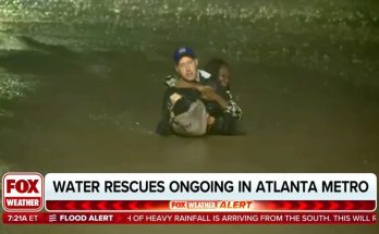 A risky drive after an overnight shift in Georgia ends in chest-deep water on a stranger’s back