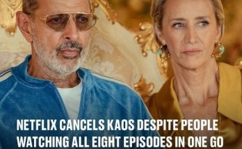 Netflix cancels Kaos despite people watching all eight episodes in one go Updated 15:31 8 Oct 2024 GMT+1 Published 14:41 8 Oct 2024 GMT+1 Netflix cancels Kaos despite people watching all eight episodes in one go Kaos starred Jeff Goldblum as Zeus in a reimagining of Greek mythology Michael Slavin Michael Slavin Netflix have shockingly cancelled Kaos, the Jeff Goldblum led Greek mythology show. This comes despite the fact that the series was one of the top shows on the platform, topping Netflix globally for a period. Variety has confirmed the news after actor Aurora Perrineau hinted at the cancellation last night on Instagram. While Variety have not yet confirmed the reason why the streamer have cancelled the show, it will be baffling to fans. In addition to spending days at the top of Netflix's most watched list - the show also received an impressive score of 76 percent on Rotten Tomatoes, and 7.5 on IMDb. Perrineau played Eurydice in the show, and starred alongside Goldblum's Zeus, Killian Scott's Orpheus, and Nabhaan Rizwan's Dionysus. When asked about the possibility of further seasons, creator Charlie Covell said: "The idea is three seasons in total. So, that's what I have kind of in my brain... I would love to do more. Goldblum starred as Zeus (Netflix) Goldblum starred as Zeus (Netflix) “There's lots of things forming. I've got an idea of what the plot is. “But no, there's no script, just lots of fevered documents and stuff that only I would probably understand at this point. But the main story is clear in my head." In a post, which Perrineau since been taken down, she said: "Well… this one hurts. "I find explaining how I’m feeling to be really difficult, but I’ll try. "When I started auditioning for this show, I knew it was special, mainly due to the fact that Charlie Covell’s scripts resonated with me in a way most things hadn’t. I knew all of these people, and I loved them all — every flaw, everything. Perrineau starred as Euridyce in the project (Netflix) Perrineau starred as Euridyce in the project (Netflix) "For one of the first times in my life, I have found myself really proud. I’m, of course, proud of everyone’s work and the care they gave to this project, because, let me tell you, they left everything on the floor. "But I’ve also found myself proud of me, and that is something I’ve struggled with. "When I got cast, I couldn’t believe that someone SAW me. A girl who’s not only a minority but also a survivor of SA — and you’re telling me that someone thinks I could be one of the leads of a show, have agency, my own mission, and be desirable enough to be the love interest to not only one amazing human but two? "I was worthy of that? "Everything that happened from that point forward really changed my perspective.” LADbible has contacted Netflix for a comment. Featured Image Credit: Netflix Topics: Netflix, TV, TV and Film Michael Slavin Michael Slavin Advert Advert Advert Huge discounts on Jack Daniels, Kraken and Baileys as Amazon launches massive flash sale Updated 15:33 8 Oct 2024 GMT+1 Published 15:28 8 Oct 2024 GMT+1 Huge discounts on Jack Daniels, Kraken and Baileys as Amazon launches massive flash sale From bubbles to whiskey Danielle Fowler Danielle Fowler This article contains affiliate links and LADbible Group might make a commission on anything purchased. A massive Amazon flash sale has landed with hundreds of incredible deals on all things tech, home, and beauty. For a limited time only, some of the world’s biggest brands are taking part, whether you’re after a brand new smart TV or cult ghd hair tool. If that isn't enough to see you scrolling, you might be interested to know there are huge savings on some of the nation’s most loved beverages. Whether you’re after a cheap bottle of bubbles to pop at Christmas or a whisky to welcome the long winter nights, there are lots of great deals to be enjoyed. Amazon Big Deals Day is exclusively available for Prime members and runs from midnight Tuesday 8 October to 11.59pm on Wednesday 9 October. If you’re not a member, it’s worth signing up for a free 30-day trial to take advantage of the savings. After that, an Amazon subscription costs £8.99 per month or £95 per year. Shop the best booze deals on offer now. Kraken Black Spiced Rum, reduced from £28.99 to £19 Kraken Black Spiced Rum, 1 litre Amazon If you’re looking to make a good investment, this is a great place to start. Blended with secret spices, Kraken rum is renowned for its rich and smooth flavour. It’ll make a thoughtful last-minute gift and is best mixed with fiery ginger beer and a squeeze of fresh lime. Buy now. 1/14 Jack Daniels Whisky, reduced from £35 to £28 Jack Daniels Whisky Gift Tin, 1 litre Amazon Even the fussiest of drinkers won’t turn down a Jack Daniels and coke. The gift tin gets a big thumbs up too, especially if you’re not sure what to get dad this Christmas. Buy now. 2/14 PATRÓN Silver Premium Tequila, reduced from £46 to £36.05 PATRÓN Silver Premium Tequila with gift box Amazon If you're looking to make a big saving, consider PATRÓN tequila. Always a crowd-pleaser, it'll look good in the drinks cabinet, and promises excellent margaritas every single time. Buy now. 3/14 Tanqueray No. TEN Gin, reduced from £35.50 to £24 Tanqueray No. TEN Gin, 70cl Amazon One of the most prestigious gin brands out there, this is a bottle that’s always going to come in handy on a Friday night. Designed for cocktails and a classic G&T - you can’t go wrong. Buy now. 4/14 Baileys Original, reduced from £22 to £15 Baileys Original, 1 litre Amazon Nothing says Christmas quite like a Baileys and there's nothing wrong with stocking up early. Reduced to £15, you can look forward to cosy nights in front of the fire for less. Buy now. 5/14 Peaky Blinder Scotch Whisky, reduced from £28 to £20.50 Peaky Blinder Scotch Whisky, 70cl Amazon A great shout for any Peaky Blinders fans out there. With hundreds of rave reviews, it’s been described as ‘very smooth to drink’ and a ‘great gift idea’ by customers. Buy now. 6/14 Pinot Noir, reduced from £16 to £11.99 Domaine d'Altugnac Pinot Noir Amazon You don’t need to be a wine buff to know this will impress dinner guests. Sourced from Antugnac in France, it’s been described by customers as ‘bang on for the money’ with many serving it with red meat. Buy now. 7/14 Hendrick's Neptunia Gin, reduced from £32 to £25.90 Hendrick's Neptunia Gin Amazon A great base for cocktails, there’s a reason why Hendrick’s Gin is so popular. If you’re unsure, have a quick scroll of the reviews. One happy shopper writes, “Drinking this really does remind me of the seaside and warm coastal walks! It's wonderfully refreshing and very tasty.” Lovely. Buy now. 8/14 Bottega Prosecco, reduced from £24 to £18.90 Bottega Gold Sparkling Wine, 750ml Amazon If you're after something a little fancier, than this is it. One five-star review reads: "Delicious prosecco in a very beautiful bottle. Everyone that likes bubbles will like Bottega. Makes a perfect present as it looks and tastes the part." Buy now. 9/14 Jim Beam Whiskey, reduced from £28 to £22 Jim Beam Whiskey, 70cl Amazon You can’t get more classic than Jim Beam. With sweet notes of caramel and coffee, it’s an intense but smooth taste every time according to the brand. Buy now. 10/14 Espolon Blanco Super Premium Tequila, reduced from £32 to £26.79 Espolon Blanco Super Premium Tequila, 70 Cl Amazon Another must-have for tequila lovers. Made for shots and margaritas, the Espolon Blanco bottle should always be dug out for special occasions. Buy now. 11/14 Lanson Le Black Champagne, reduced from £37.99 to £30.40 Lanson Le Black Champagne, 750ml Amazon Every booze list needs a bottle of champagne. Reduced to £30, it'll come in handy when the festive season rolls around. Buy now. 12/14 The Botanist Islay Dry Gin, reduced from £37 to £26.60 The Botanist Islay Dry Gin, 700ml Amazon Another classic to add to your shopping basket. The Botanist Gin is a great option for G&Ts and cocktails all year round. Buy now. 13/14 Glenfiddich Fire & Cane Experimental Single Malt Scotch Whisky with Gift Box, 70cl Glenfiddich Fire & Cane Whisky, 70cl Amazon One of the world's bestselling whiskies, this is sure to go down a treat for last-minute birthday presents. Its taste is described as 'a bold fusion of campfire smoke and sweet toffee notes'. Buy now. 14/14 Shop more great Amazon deals here. Featured Image Credit: Amazon Topics: Amazon Prime Day, Shopping, Alcohol Danielle Fowler Danielle Fowler Advert Advert Advert Netflix viewers all have the same complaint after watching its number one movie Published 12:14 24 Jan 2024 GMT Netflix viewers all have the same complaint after watching its number one movie People have a lot of thoughts on the new Netflix movie Lucy Devine Lucy Devine Netflix viewers are all saying the same thing after watching the platform's number one movie. The film dropped on the streaming platform on 19 January, but viewers have been left questioning some aspects of the sci-fi over on social media. Check out the trailer below: The film is set in a dystopian London where the gap between rich and poor has been stretched to breaking point. As social housing is being eliminated, pretty much all that remains is 'The Kitchen', where the local community leader is Ian Wright's character, a charismatic DJ called Lord Kitchener. The Kitchen follows Izi (Top Boy's Kane Robinson) and 12-year-old Benji (Jedaiah Bannerman). While Izi is planning to leave The Kitchen, he's confronted with some tough choices, especially after meeting Benji. The film was co-written, co-directed and produced by Daniel Kaluuya, alongside Kibwe Tavares, Joe Murtagh and Daniel Emmerson. The Kitchen follows the story of Izi and Benji, and weaves in themes of community, class, family and inequality. Netflix While many have been watching the film expecting to see a sci-fi action movie, some have been left baffled over the plot and the message that The Kitchen is trying to convey. Others have been grappling with the storyline and struggling to make much sense of it. "I watched The Kitchen on Netflix and think it’s fair to say I’m confused," one viewer wrote. While another said: "That movie the kitchen on Netflix had me confused lol." Ian Wright starts as Lord Kitchener in The Kitchen. Netflix And a third added: "I’m like 30 minutes into watching the kitchen on Netflix and I’m genuinely so confused as to what the hell is going on." A fourth said: "Ngl The Kitchen on Netflix was the most pointless film ever how did it just end like that. "It could have been so good if it had a properly storyline and ending." One even said it 'had no storyline'. "Just dramatic for nothing. Didn’t make sense." they continued to say. "@netflix I just watched 'The Kitchen' and I'd like to make a formal complaint," said another. Some said the film might have been better structured as a series instead. But others had the opposite view, with many praising the cast especially. Daniel Kaluuya, Kane Robinson and Ian Wright together at the Closing Night Gala premiere of The Kitchen. Karwai Tang/WireImage "Kane Robinson slays as always in The Kitchen. Daniel Kaluuya and Kibwe Tavares nailed it!" Said one. Another added: "Have you watched the kitchen on netflix? if not throughly recommend it." While it received an 'Audience Score' of 58 percent on Rotten Tomatoes, critics gave it an overwhelming 84 percent. This could definitely be a 'love it or hate it' situation. You can watch The Kitchen on Netflix now. Featured Image Credit: Netflix Topics: TV and Film, Netflix Lucy Devine Lucy Devine Advert Advert Advert Fool Me Once writer reveals one thing that’s totally different about new Netflix Harlan Coben series Published 14:29 1 Oct 2024 GMT+1 Fool Me Once writer reveals one thing that’s totally different about new Netflix Harlan Coben series The writer of Fool Me Once spoke to us exclusively about the follow up Michael Slavin Michael Slavin The writer who brought Fool Me Once to TV has hinted that there is one thing totally different about his next Netflix adaptation of a Harlan Coben novel. We spoke exclusively to Danny Brocklehurst, the man who brought Coben’s iconic novel to life for Netflix. The show was always going to be a success, but no one could have predicted the incredible response. Fool Me Once is now one of the top 10 shows in the history of Netflix. Brocklehurst is also the writer behind Brassic, yet another hit show that is dominating Netflix of late. Unsurprisingly, the streamer is keen to keep him around and capitalise on the success of Fool Me Once, and have already ordered two follow-up adaptations of Harlan Coben novels. The greenlit ones were Missing You, and Run Away. While Missing You will not be written by Brocklehurst, but instead by Victoria Asare-Archer, he will serve as an executive producer. However, Run Away will be penned by Brocklehurst, and in our exclusive interview with the Fool Me Once TV creator, we asked him what viewers could expect from the follow up – and what would be different about the show from Fool Me Once. Danny Brocklehurst (Anthony Devlin via Getty Images) Danny Brocklehurst (Anthony Devlin via Getty Images) Brocklehurst said: “I think there's a sort of formula to our Harlem thrillers. You know, they're very twisty-turny. They have great hooks. “But Fool Me Once had this sort of real mystery baked into it, how does a dead man appear in the nanny cam? “Which I think people really kind of ran with, you know, it's very difficult to get that every time, because that's a very, very big concept.” Regarding his new Coben thriller, however, he said: “I think Run Away is not quite as big a concept. “It's got, you know, it's got a reasonable concept to it, but what we've leaned into there is that it's sort of emotional roller coaster of it all for the characters. “So, it will still be the same sort of twisty-turny, thriller-y, hook-y formula, but with perhaps a little bit more sort of family-based emotional content." Harlan Coben (Chesnot via Getty Images) Harlan Coben (Chesnot via Getty Images) “Fool Me Once was really, you know - once you were on that thriller track, it just went for it.” With the novel already out there to tear through in preparation, Netflix have released the following synopsis for Run Away – and it sounds like a doozy. It reads: “Simon had the perfect life: loving wife and kids, great job, beautiful home. But then his eldest daughter Paige ran away and everything fell apart. “So now when he finds her, vulnerable and strung out on drugs in a city park, he finally has the chance to bring his little girl home. “But it turns out she’s not alone and an argument escalates into shocking violence that will shatter Simon’s life all over again. “His search for his daughter will take him into a dangerous underworld, revealing deep secrets that could tear his family apart forever.” Personally, I can’t wait. Featured Image Credit: Netflix / Anthony Devlin via Getty Images Topics: Netflix, TV and Film, TV Michael Slavin Michael Slavin Advert Advert Advert Netflix releases first look at Cillian Murphy in Peaky Blinders movie Updated 17:04 30 Sep 2024 GMT+1 Published 16:15 30 Sep 2024 GMT+1 breaking Netflix releases first look at Cillian Murphy in Peaky Blinders movie It's time to dig out your flat caps once again Brenna Cooper Brenna Cooper Netflix has released a first look at Cillian Murphy as Tommy Shelby in the upcoming Peaky Blinders movie. The final season of Peaky Blinders may have come to a divisive climax back in April 2022 - however fans are well aware that the story of notorious Birmingham gangster-turned-businessman Tommy Shelby was far from over. Following the finale it was confirmed by series creator and writer Steven Knight that he would finish the Shelby story in a feature length format - with the project later being picked up by Netflix. Two years on and it seems there is finally movement on the project, with Netflix sharing images of Murphy and Knight together as well as one of the Irish actor in character. Taking to X, the streamer wrote: "By order of the Peaky Blinders... Tommy Shelby is back. Cillian Murphy and Steven Knight are reunited on set as production officially starts on the upcoming Netflix film." Our first look at Tommy Shelby back in action gives very little of away in terms of what to expect from the upcoming film, with the character donning his signature suit and looking pensive while facing the camera side on. Check out the photos below: Netflix UK & Ireland Netflix UK & Ireland @NetflixUK · Follow By order of the Peaky Blinders... Tommy Shelby is back. Cillian Murphy and Steven Knight are reunited on set as production officially starts on the upcoming Netflix film. 10:02 PM · Sep 30, 2024 4.3K Reply Copy link Eagle-eyed fans were able to notice one difference from the photo, as a now greying Shelby appears to have finally ditched his 'short back and sides' haircut for a less drastic look. "Rip to the tommy shelby cut you will be missed by everyone but cillian murphy," one person replied, while a second simply added: "TOMMY’S HAIR????" Tommy Shelby is back (Netflix) Tommy Shelby is back (Netflix) What do we know about the Peaky Blinders film? Other than the return of Tommy Shelby and World War II, very little is known about the upcoming film as cast and crew understandably want to keep their cards close to their chest. It's currently reported, as per Deadline, that Rebecca Ferguson, Barry Keoghan and Tim Roth will be joining Murphy, however any details about their characters are yet to be revealed. As for a release date, nothing has been confirmed yet. However, as production has only just got underway it's likely that we won't see the film until late 2025 at the earliest. "I'm thrilled to see the cameras rolling on this new chapter of the Peaky Blinders story, set during World War II. The country is at war, and so, of course, are our Peaky Blinders," Knight said of the project in a statement. Director Tom Harper added: "There’s a great feeling of anticipation and excitement amongst our outstanding cast and crew. We’re grateful to the fans for getting us to this point and believe this next chapter is going to deliver something extraordinary."