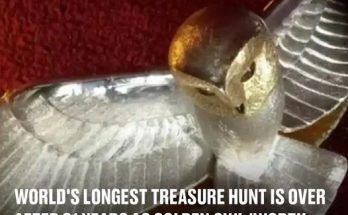 World's longest treasure hunt is over after 31 years as golden owl 'worth £200,000' is finally found